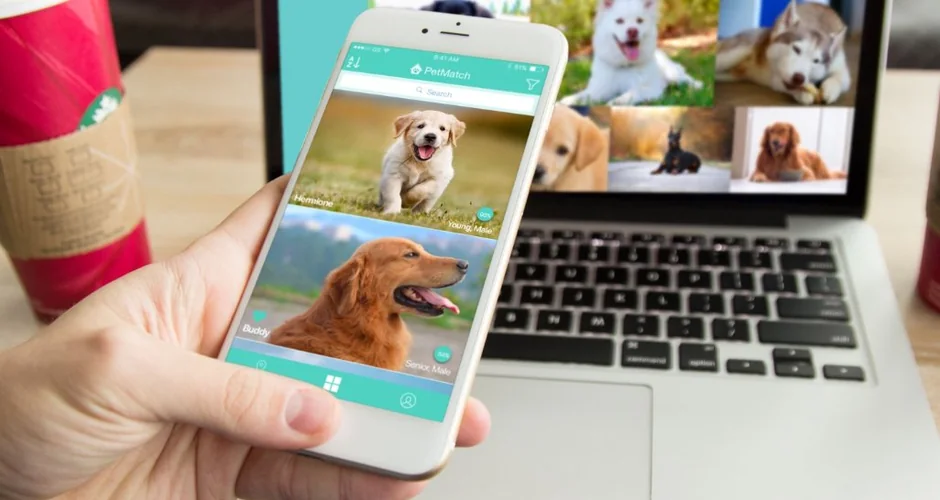 PetMatch case study